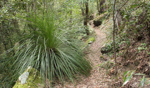 Dharug National Park - Hotel Accommodation 2