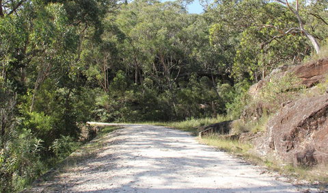 Dharug National Park - Hotel Accommodation 1
