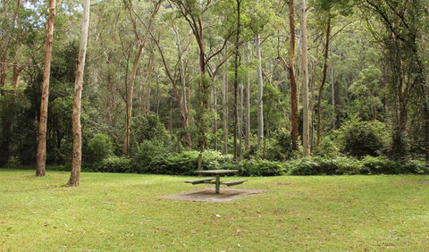 Dharug National Park - Hotel Accommodation 3