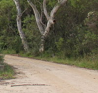 Riverview walking track - Hotel Accommodation
