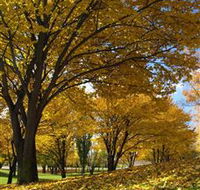 Centennial Park at Cooma - Hotel Accommodation
