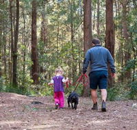 Olney State Forest - Watagan Mountains - Hotel Accommodation