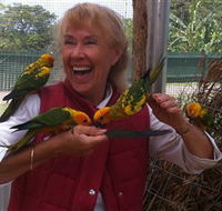 Maleny Botanic Gardens  Bird World - Hotel Accommodation