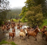 Glenworth Valley Horse Riding - Hotel Accommodation