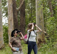 Chichester State Forest - Hotel Accommodation