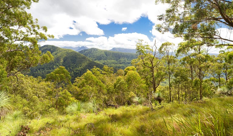Sawpit Creek ACT Hotel Accommodation