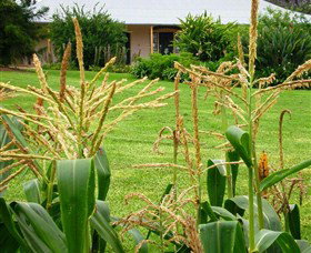 Experiment Farm Cottage - Hotel Accommodation 4