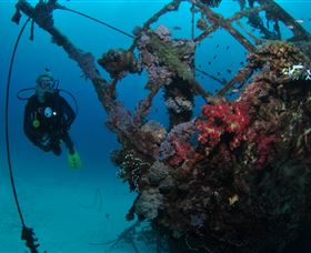 Severance Shipwreck Dive Site - Hotel Accommodation 0