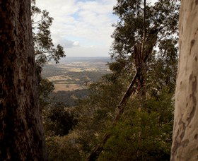 Heaton State Forest - Watagan Mountains - Hotel Accommodation 1