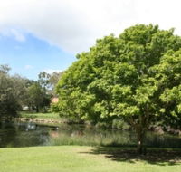 Hervey Bay Botanic Gardens - Hotel Accommodation