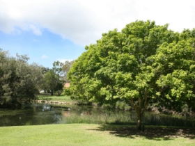 Hervey Bay Botanic Gardens - Hotel Accommodation 0