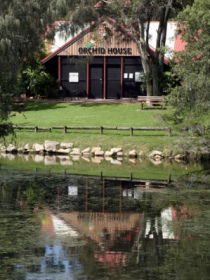 Hervey Bay Botanic Gardens - Hotel Accommodation 1