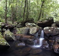 Kangaroo River - Hotel Accommodation