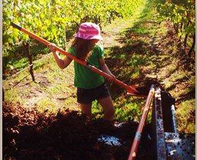 East Gippsland Wines - Hotel Accommodation 5