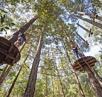 TreeTop Adventure Park Central Coast - Hotel Accommodation