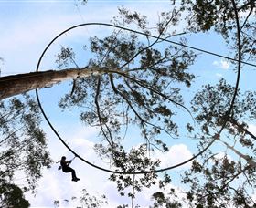 TreeTops Crazy Rider - Hotel Accommodation 0