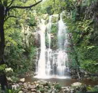 Budderoo National Park - The Falls Walk - Hotel Accommodation