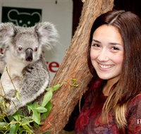 Blackbutt Reserve - Hotel Accommodation