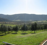 Hastings Valley Olives - Hotel Accommodation