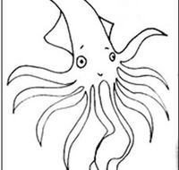 Squid Studio - Hotel Accommodation