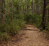 Pigeon House Mountain Didthul walking track - Hotel Accommodation