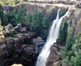 Minnamurra Rainforest Centre: Budderoo National Park - Hotel Accommodation 0