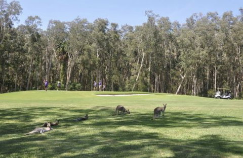 Emerald Downs Golf Course - Hotel Accommodation 4