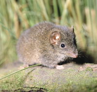 Munmorah State Conservation Area - Hotel Accommodation