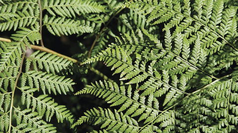 Glenrock State Conservation Area - Hotel Accommodation 3