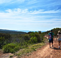 Moonee Beach trail - Hotel Accommodation