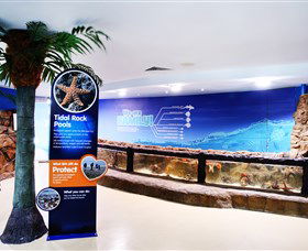 Sea Life Sunshine Coast - Hotel Accommodation 2