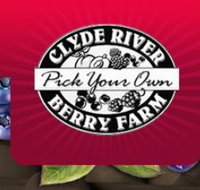 Clyde River Berry Farm - Hotel Accommodation
