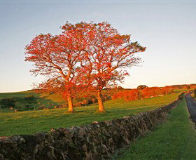 Saddleback Mountain Lookout - Hotel Accommodation 2