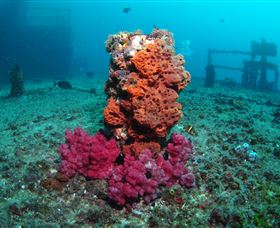 HMAS Brisbane Dive Site - Hotel Accommodation 0