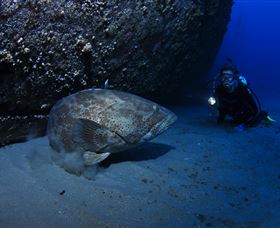 HMAS Brisbane Dive Site - Hotel Accommodation 3