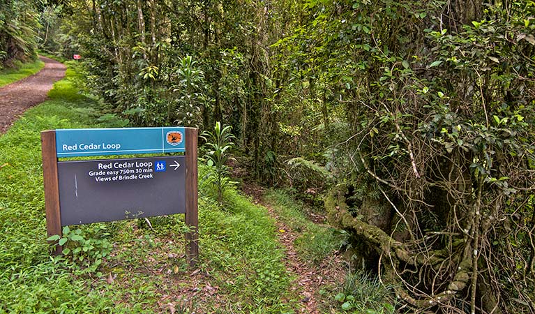 Border Ranges NSW Hotel Accommodation