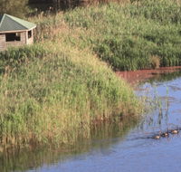 Spring Creek Bird Hide - Hotel Accommodation
