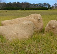 Unreal Rocks Statue Gallery - Hotel Accommodation