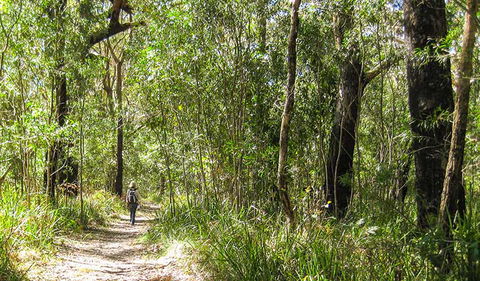 Seven Mile Beach National Park - Hotel Accommodation 2