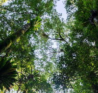 Botanic walk - Hotel Accommodation