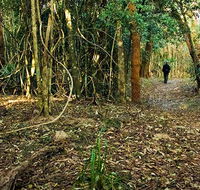 Sand track walk north - Hotel Accommodation