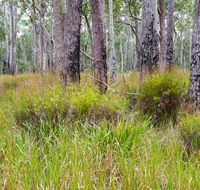 Narrawallee Inlet walking track - Hotel Accommodation