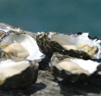 Jim Wilds Oyster Service - Hotel Accommodation