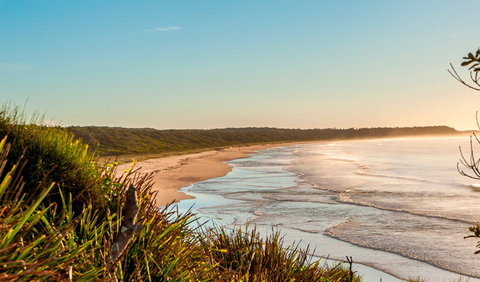 Burrawang Track - Conjola Beach To Buckleys Point - Hotel Accommodation 2