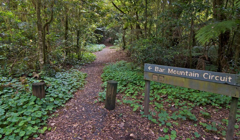 Upper Horseshoe Creek NSW Hotel Accommodation