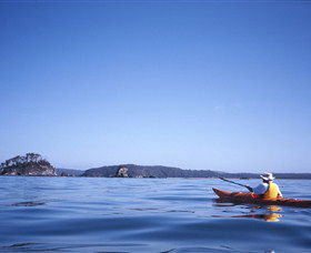 Kayaking Batemans Bay - Hotel Accommodation 0