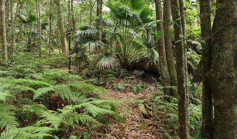 Durras Lake Discovery Trail - Hotel Accommodation 0