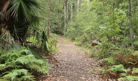 Durras Lake Discovery Trail - Hotel Accommodation 1