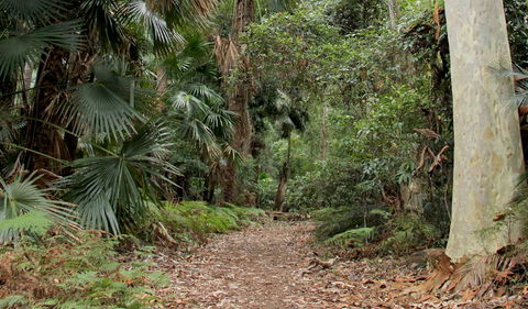 Durras Lake Discovery Trail - Hotel Accommodation 2
