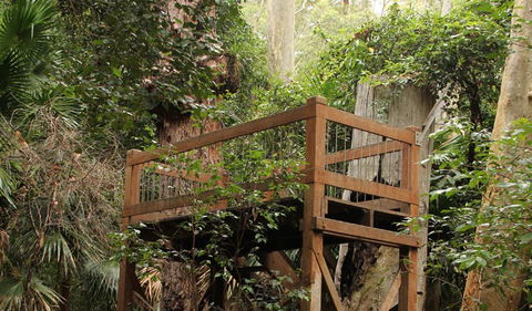 Durras Lake Discovery Trail - Hotel Accommodation 3